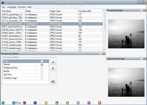 multiple image resizer. By default only the resizing option is selected. multiple image resizer