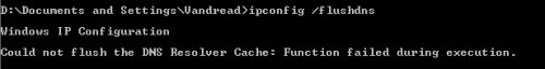 could not flush the dns resolver cache