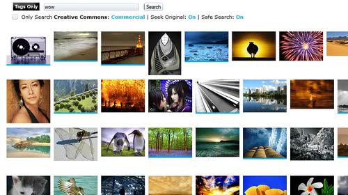 flickr image search