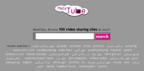 Use MetaTube to Search 100 Video Sharing Sites
