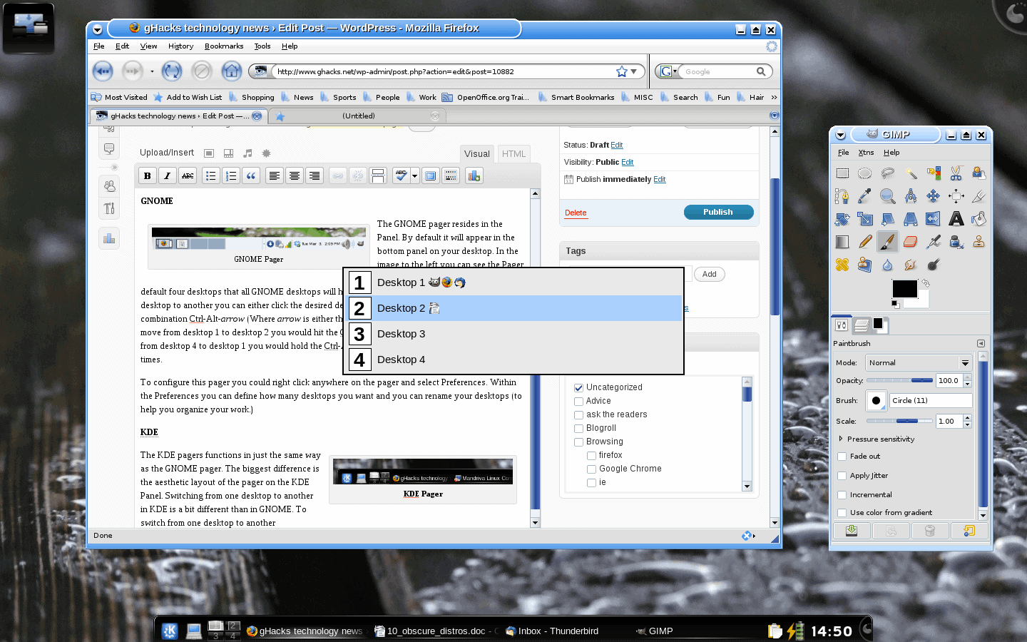 KDE Pager in Action