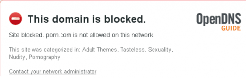 block pornographic websites