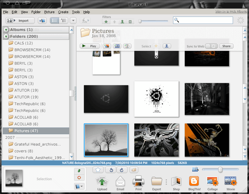 download picasa 3 download picasa 3