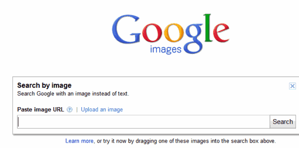 google search by image