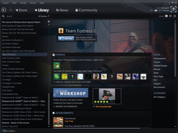 Steam Skins, Everything You Need To Know about them