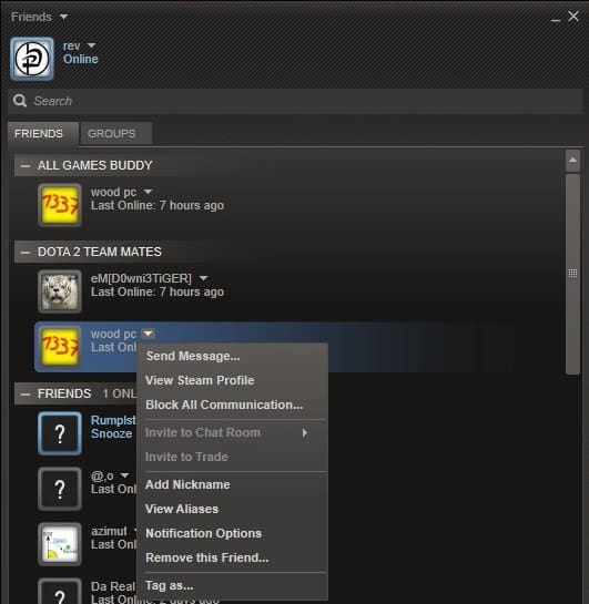 steam tag group friends