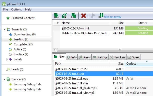 utorrent codec information