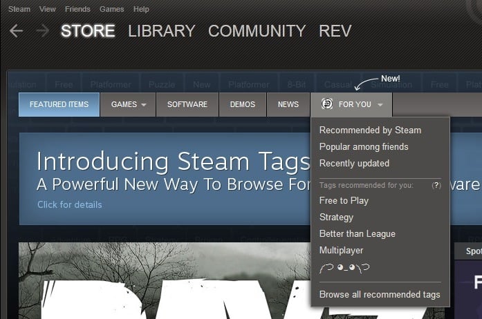 introducing steam tags