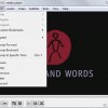vlc bookmarks