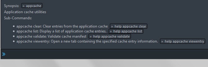 clear appcache