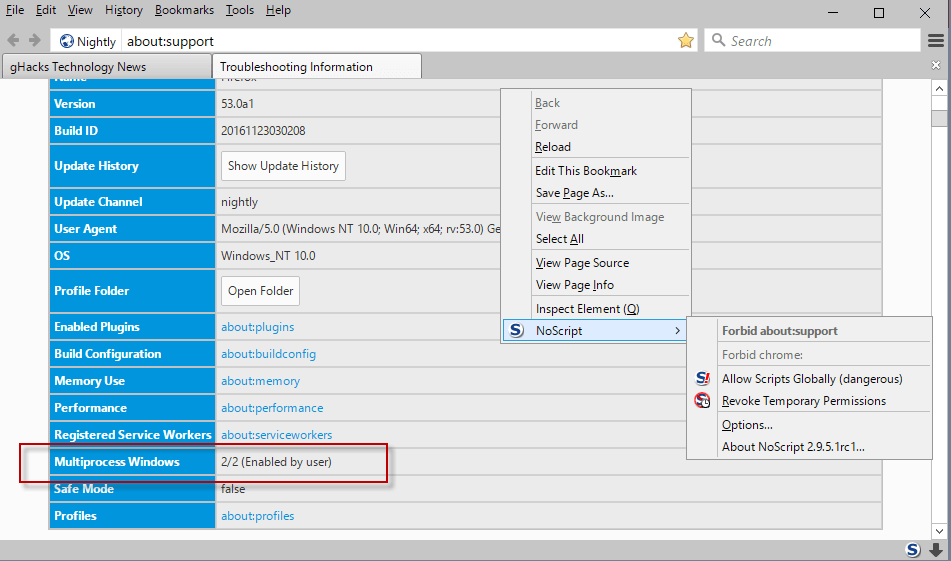 noscript multi-process firefox