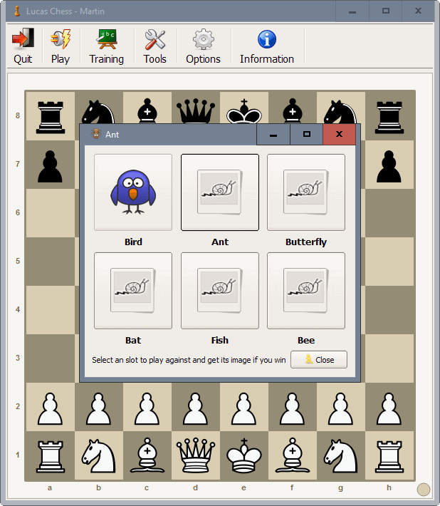 learn chess children