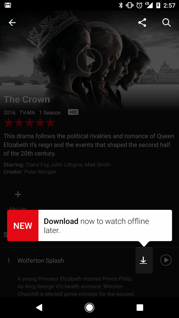 netflix download