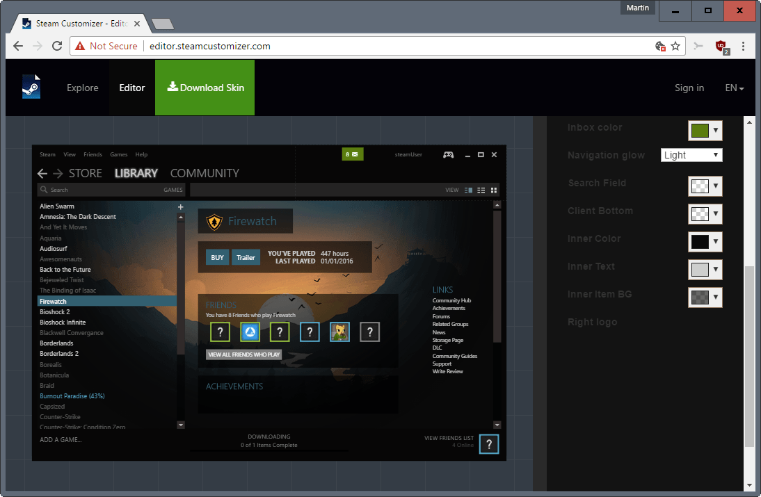 steam customizer