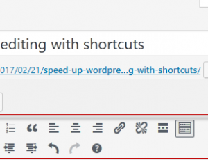 wordpress editor