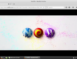 netflix firefox linux