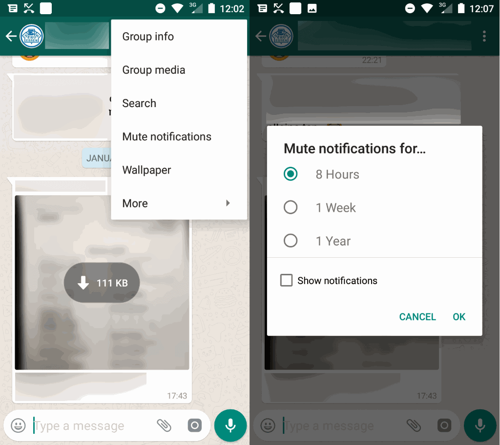 whatsapp mute group chat notifications