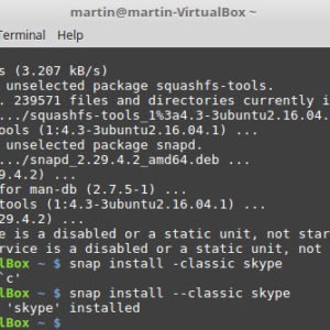 skype snap install linux