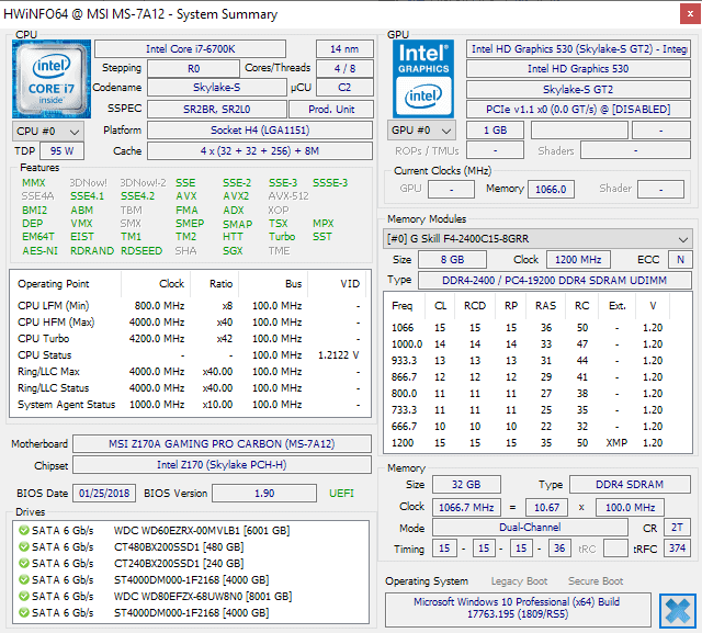 hwinfo 6.0