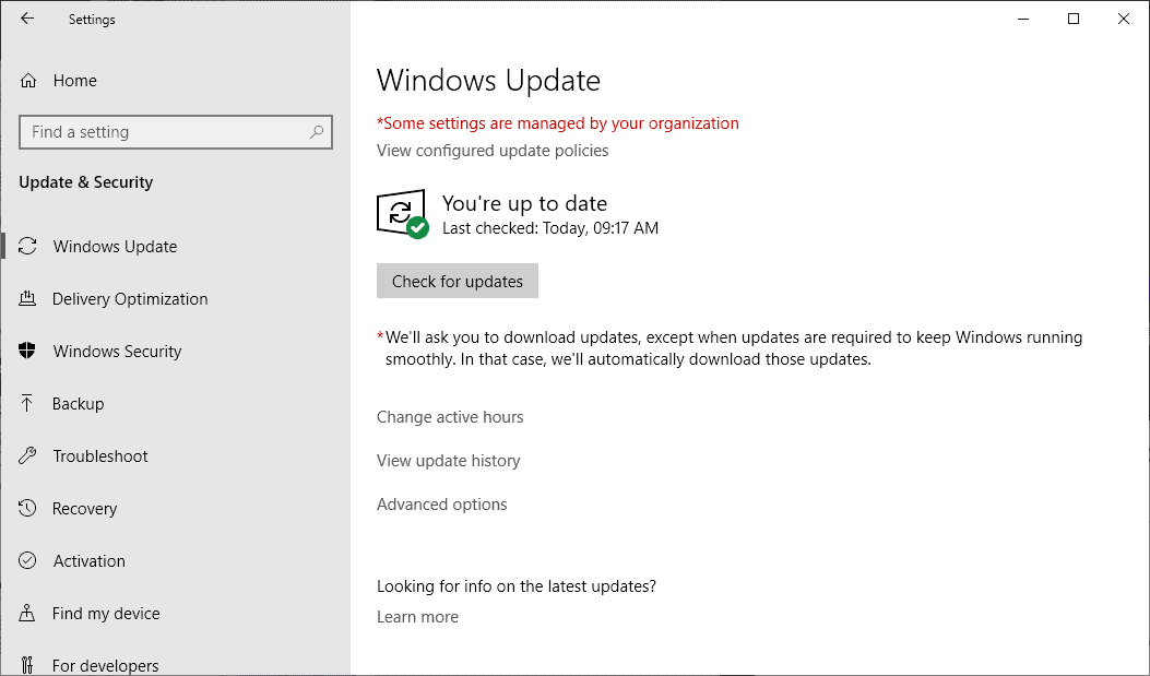 windows check for updates