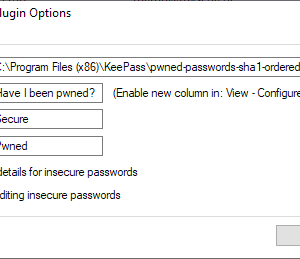 keepass password security check