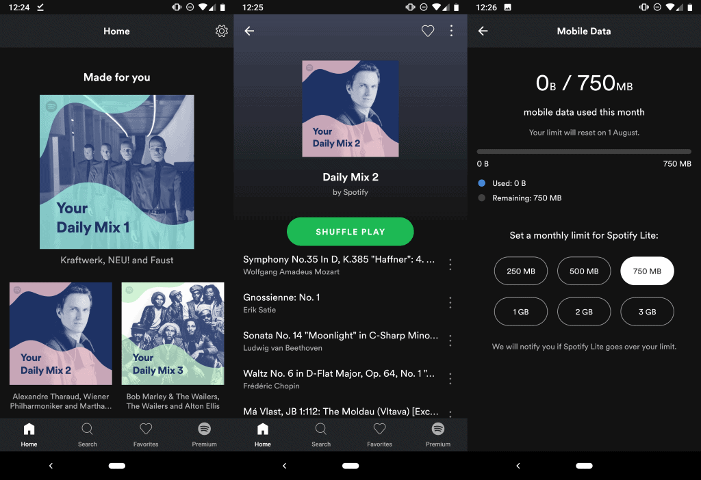 spotify lite