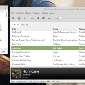 Audacious is an open source music player for Windows and Linux