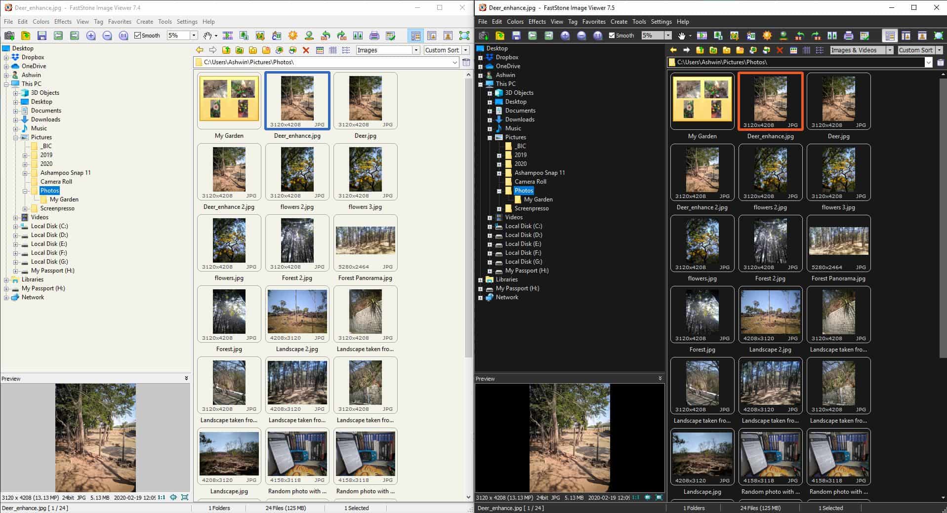 FastStone Image Viewer Bright Vs Dark theme