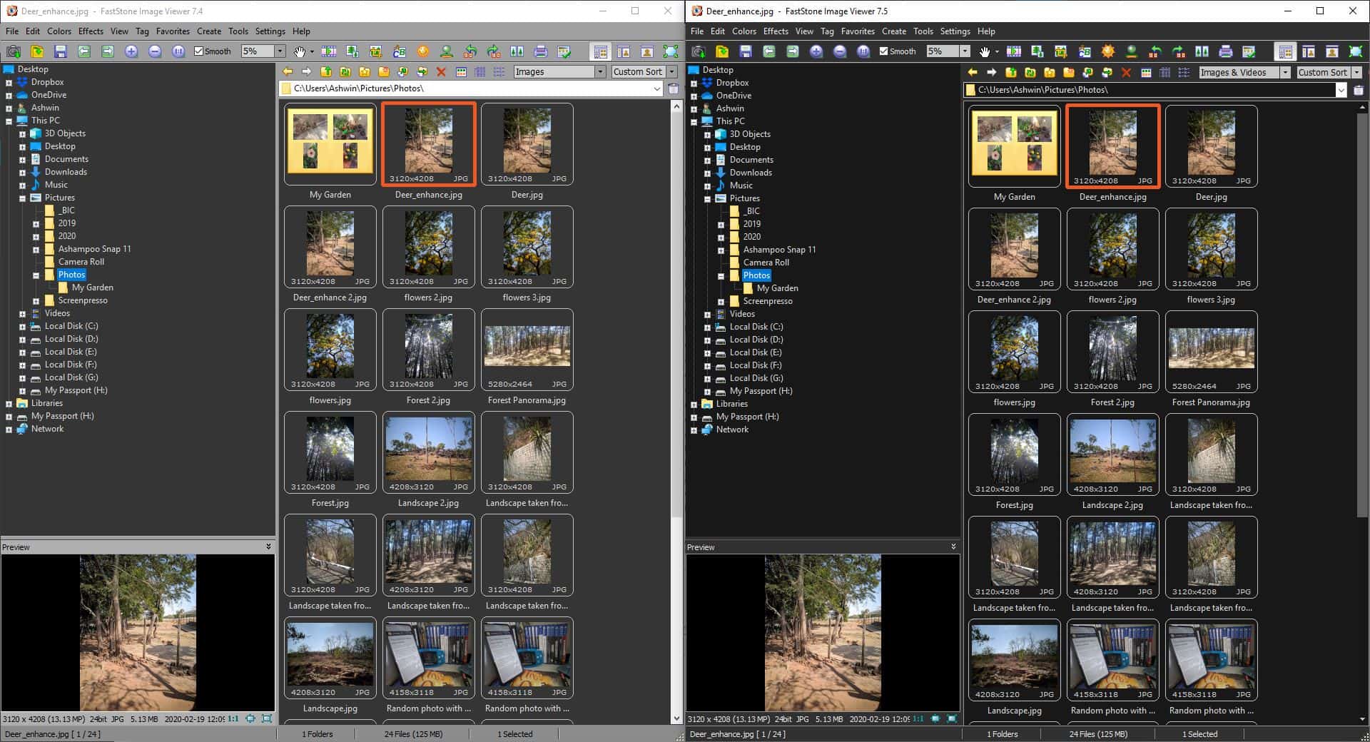 FastStone Image Viewer Gray Vs Dark theme