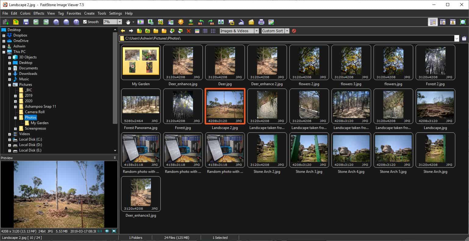 FastStone Image Viewer dark theme