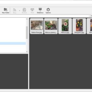 FocusOn Image Viewer is a freeware photo viewer for Windows