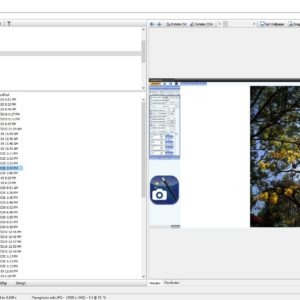 WildBit Viewer is a freeware image viewer that comes with an editor, batch renamer, slideshow tool and more