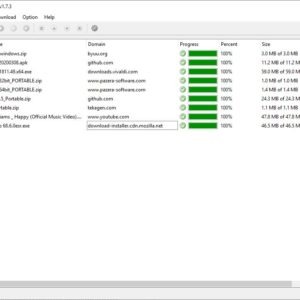 DownZemAll is an open source download manager for Windows, Linux and macOS