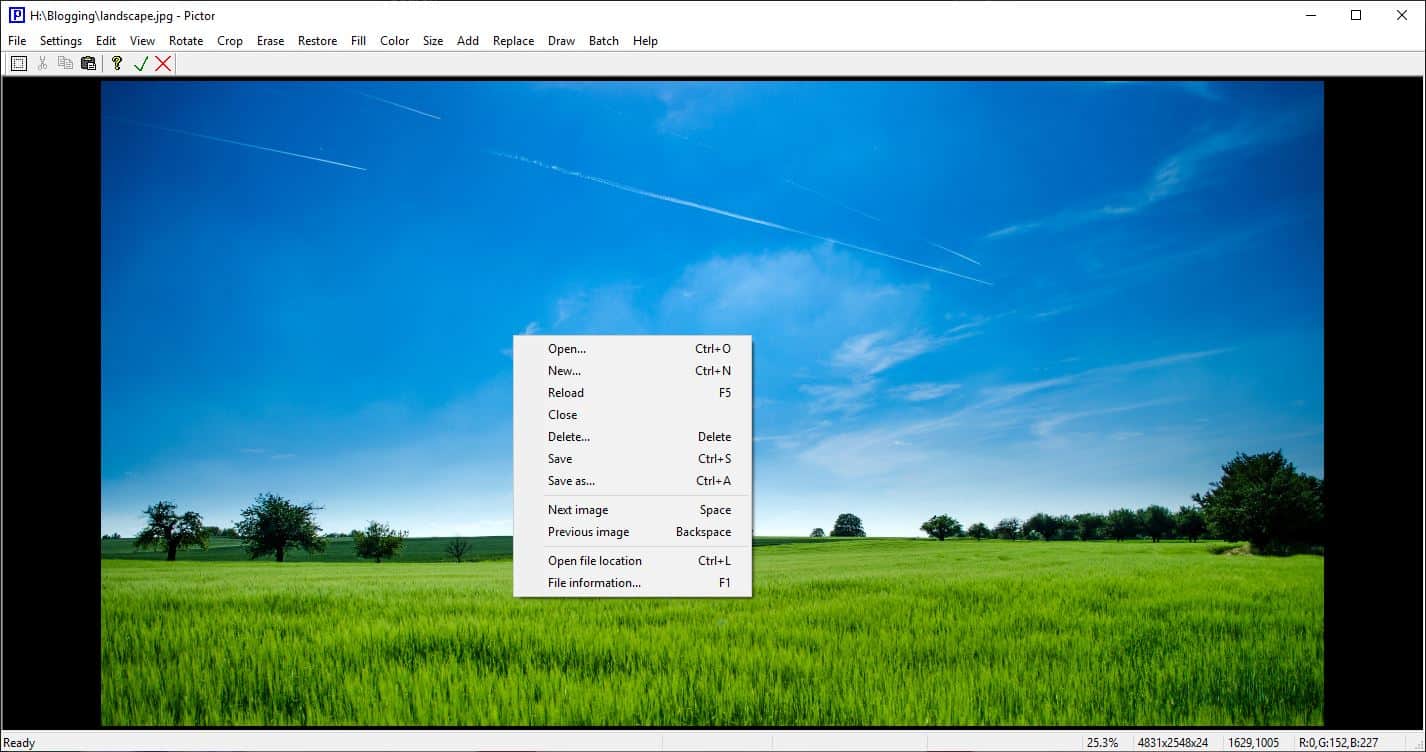Pictor is a freeware image editor with a lot of options, filters, batch processing tools.