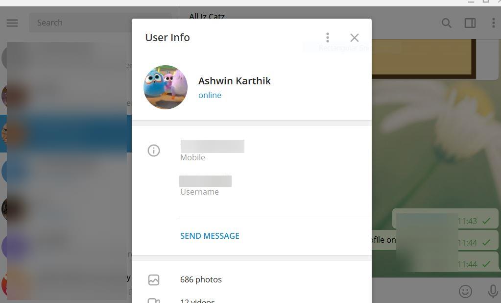 Telegram profile videos desktop