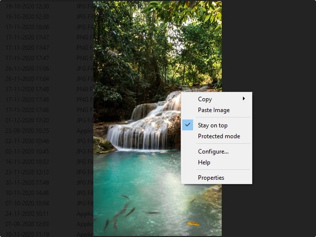 Pineapple Pictures context menu