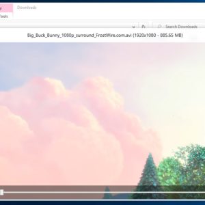 Preview text, audio, video and PDF files quickly in Explorer with WinQuickLook