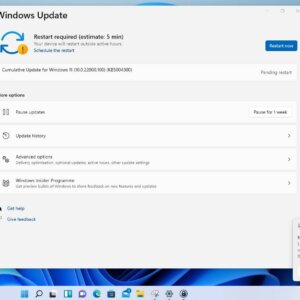 Windows 11 Insider Preview Build 22000.100 KB5004300