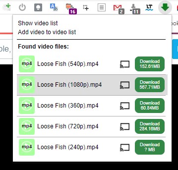 Video Downloader Professional Chrome Extension