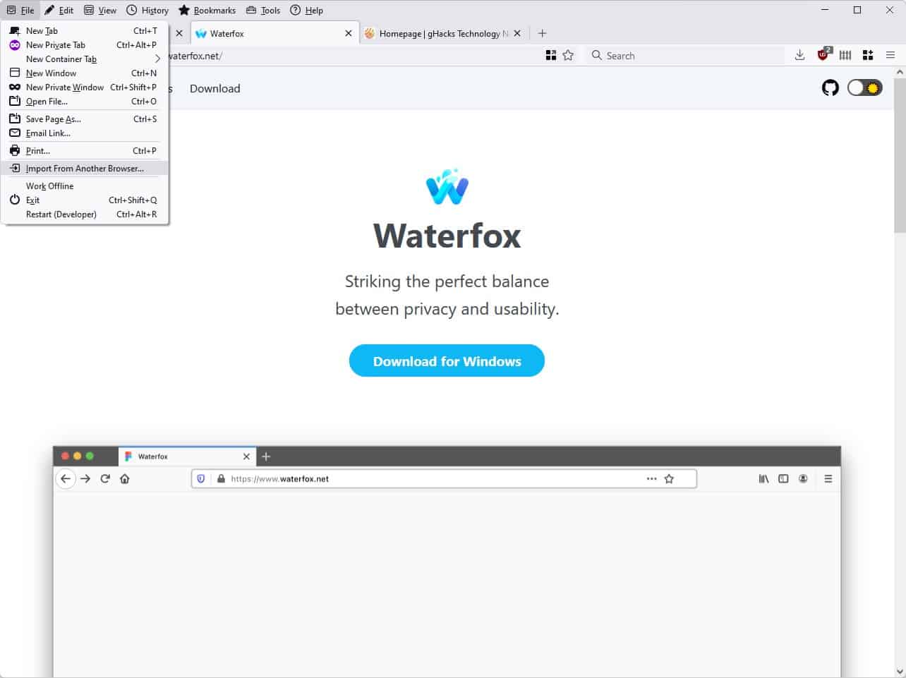 Waterfox g4 lepton theme - menu