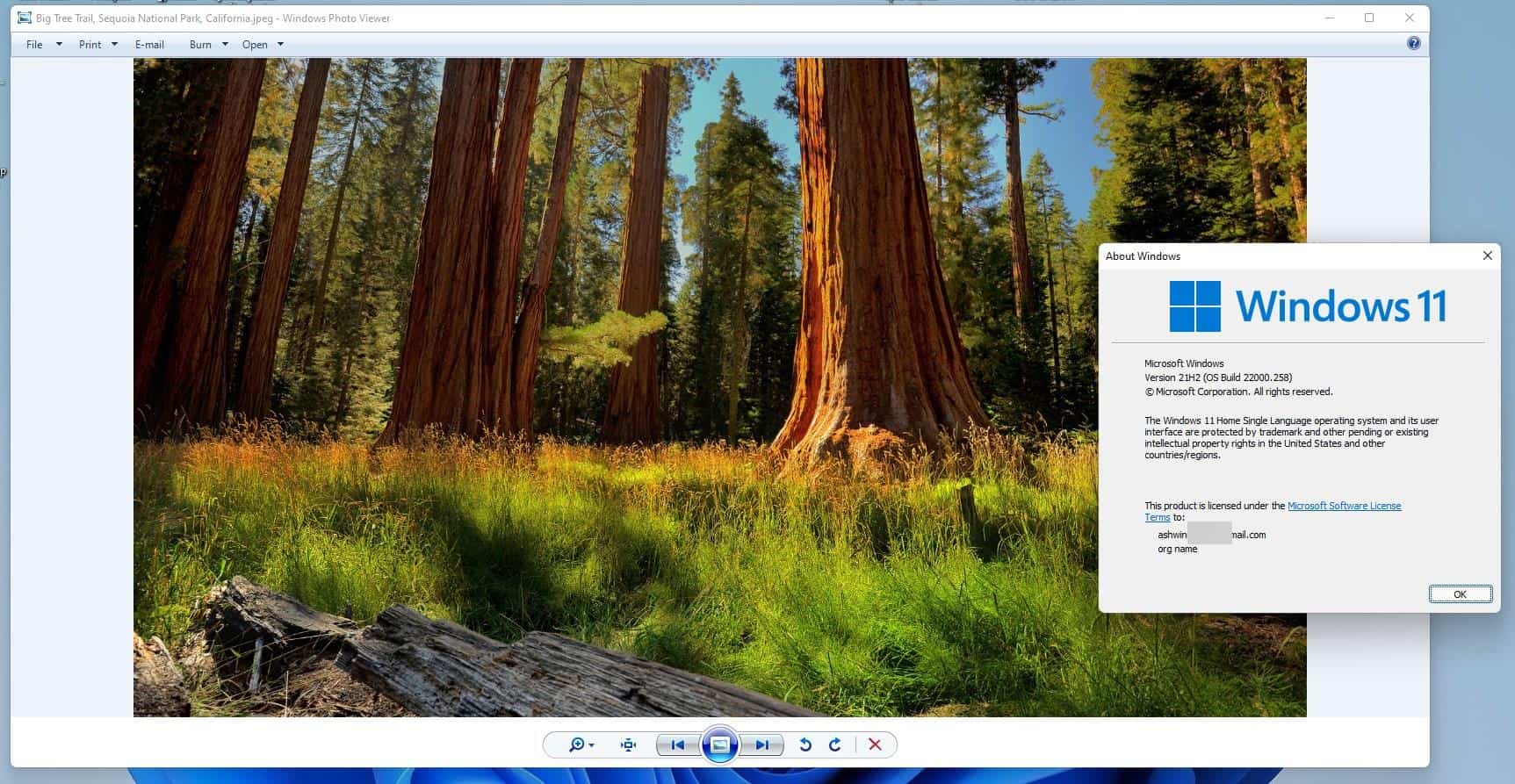 Windows Photo Viewer in Windows 11