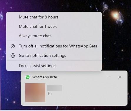WhatsApp beta notifications
