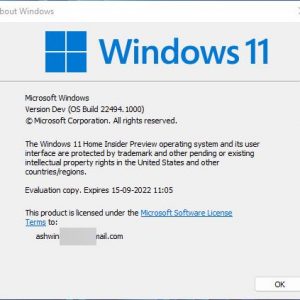 Windows 11 Insider Preview Build 22494