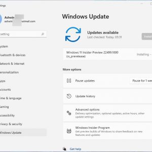 Windows 11 Insider Preview Build 22499
