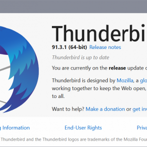 thunderbird 91.3.1