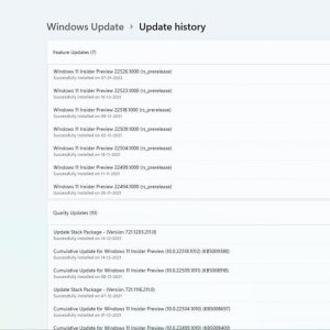 Windows 11 Insider Preview Build 22526