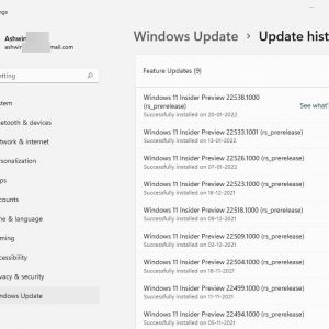 Windows Insider Preview Build 22538