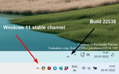 windows 11 two arrow icons issue