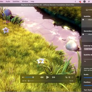 IINA video player for macOS now supports OpenSubtitles, HDR, and more