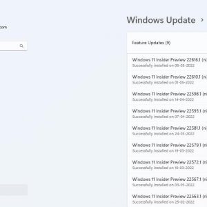 Windows 11 Insider Preview Build 22616 released